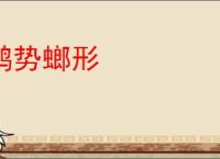 鹤势螂形