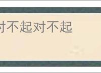 对不起对不起