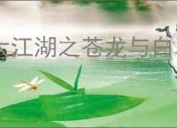 大江湖之苍龙与白鸟怎么打混元道长,大江湖之苍龙与白鸟混元道长打法攻略