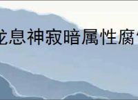 龙息神寂暗属性腐蚀队怎么玩,龙息神寂暗属性腐蚀队搭配攻略