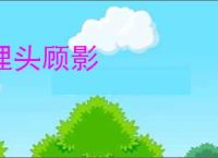 埋头顾影