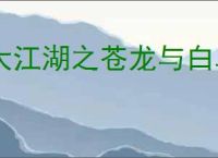 大江湖之苍龙与白鸟怎么过少林线,大江湖之苍龙与白鸟少林线通关攻略