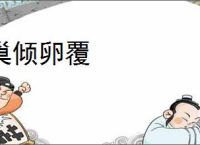 巢倾卵覆