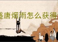 盛唐烟雨怎么获得许愿币与元宝,盛唐烟雨许愿币与元宝获取途径