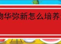 物华弥新怎么培养海水江崖炉,物华弥新海水江崖炉培养方法