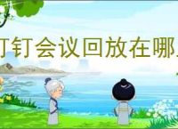 钉钉会议回放在哪里查看
