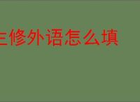 主修外语怎么填