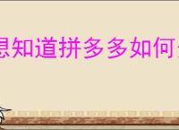 想知道拼多多如何分期付款买手机？教你申请分期贷款！