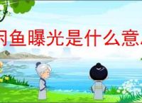 闲鱼曝光是什么意思？如何提高闲鱼商品的曝光率？
