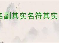 名副其实名符其实