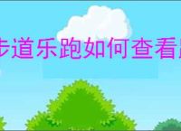 步道乐跑如何查看跑步记录