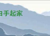 白手起家