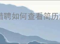 猎聘如何查看简历浏览次数