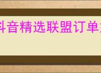 抖音精选联盟订单如何查询