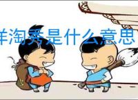 洋淘秀是什么意思？如何利用洋淘秀提升销量？
