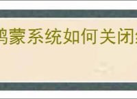 鸿蒙系统如何关闭纯净模式