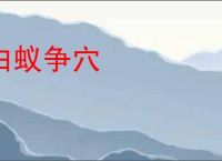 白蚁争穴