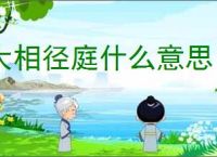 大相径庭什么意思