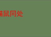 猫鼠同处