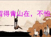 留得青山在，不怕没柴烧