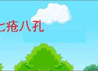 七疮八孔