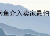 闲鱼介入卖家最怕什么？卖家如何应对闲鱼介入？
