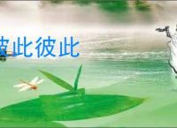 彼此彼此