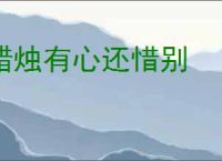 蜡烛有心还惜别