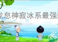 龙息神寂冰系最强阵容怎么搭配,龙息神寂冰系最强阵容推荐