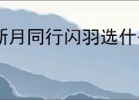 新月同行闪羽选什么卡带,新月同行闪羽卡带搭配攻略