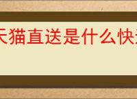 天猫直送是什么快递？天猫直送的配送服务有哪些特点？