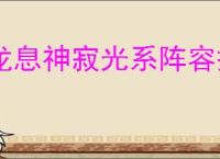 龙息神寂光系阵容搭配推荐,龙息神寂光系最强阵容怎么搭配