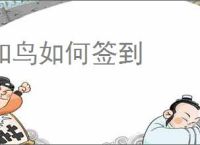 知鸟如何签到