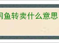 闲鱼转卖什么意思？什么是闲鱼转卖，如何操作？
