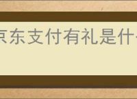 京东支付有礼是什么？如何通过京东支付获得更多优惠？