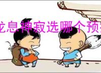 龙息神寂选哪个预抽卡角色,龙息神寂预抽卡角色推荐