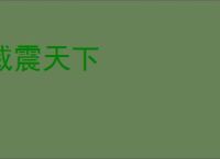 威震天下