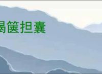 揭箧担囊