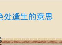 绝处逢生的意思