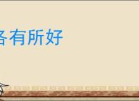 各有所好