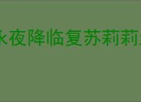 永夜降临复苏莉莉丝怎么搭配阵容,永夜降临复苏莉莉丝阵容推荐