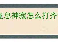龙息神寂怎么打齐诺斯,龙息神寂齐诺斯打法阵容分享