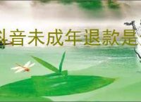 抖音未成年退款是全额吗？如何申请抖音未成年退款？