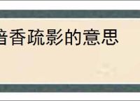 暗香疏影的意思