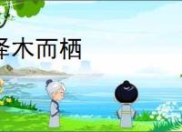 泽木而栖