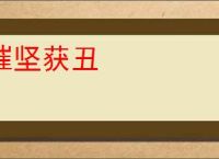 摧坚获丑
