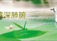 感深肺腑