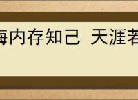 海内存知己 天涯若比邻