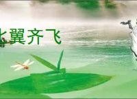 比翼齐飞