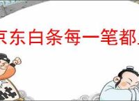 京东白条每一笔都上征信吗？怎样管理你的消费记录？